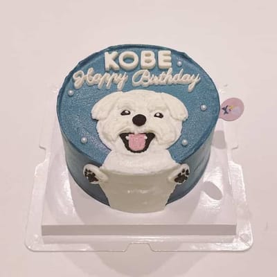 เควิน ดีรมรัมย์ avatar