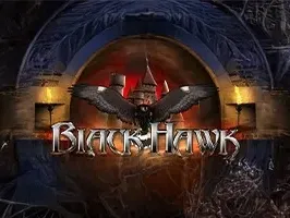 Black Hawk game thumbnail